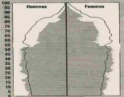 pyramise%20des%20ges%20tronc